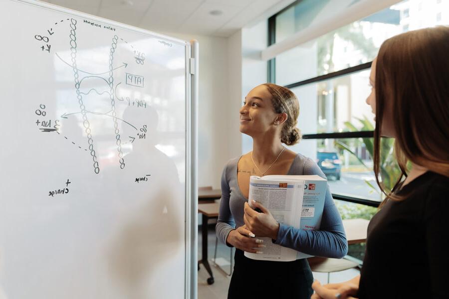 Two students study a diagram on a whiteboard.